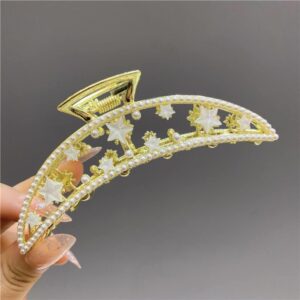 Fancy Metal Hair clutcher