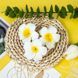 White Artificial Hawaii Flower Hair Clip Elegant Floral Claw Hair Accessories For Women's Hair Clips